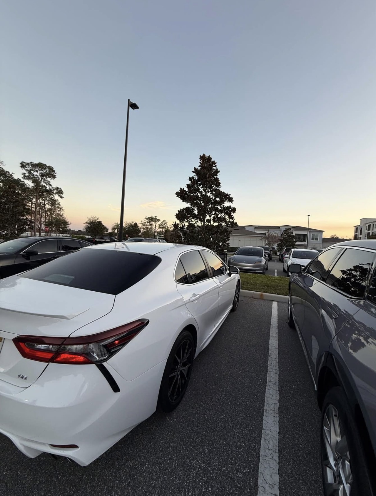 2021 Toyota Camry · Se